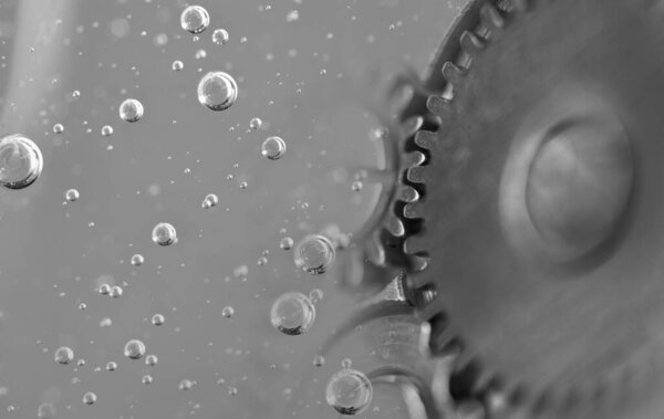 Black and white. Metal gear in oil. Car service concept. Oil change in mechanisms, engines, motors.