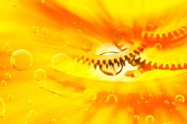 Car service concept. Metal gears in oil. Oil change in mechanisms, engines, motors. 