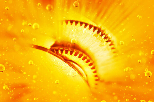 Gears in oil. Oil change in mechanisms, engines, motors. Car service concept. Macro.
