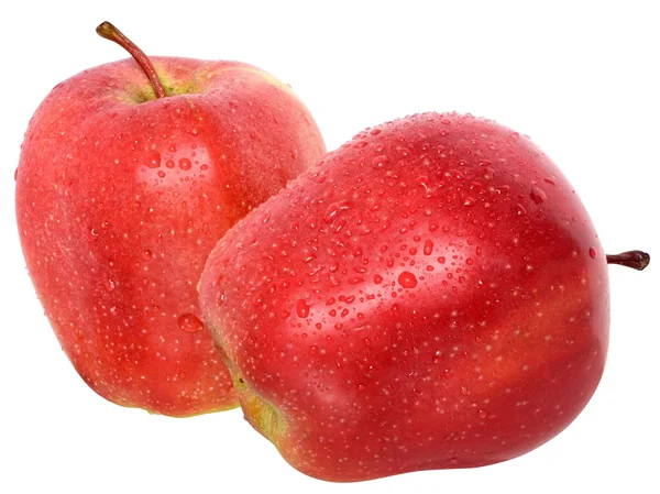 Kırmızı iki elma — Stok fotoğraf