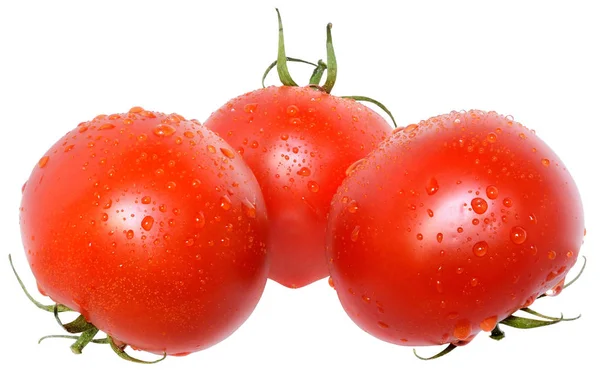 Zralé mokré samostatný tři rajčata — Stock fotografie