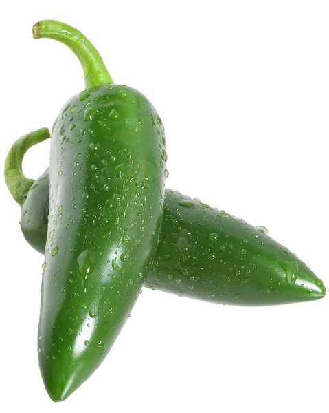 Pepper chili wet close up isolated — Stock Photo, Image