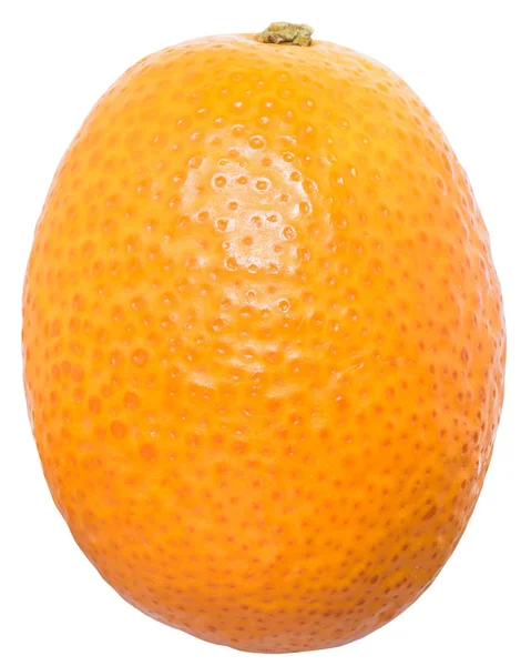 Kumquat fresco de perto isolado — Fotografia de Stock