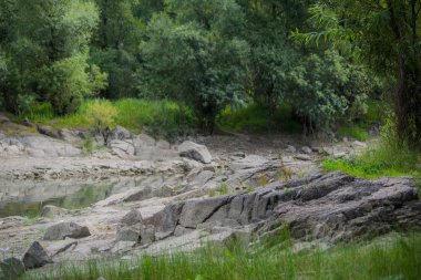 Nehir ormanın arka planına karşı