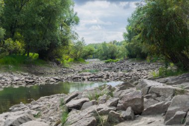 Nehir ormanın arka planına karşı