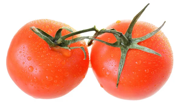 Two tomato on branch top view isolated — Stock Photo, Image