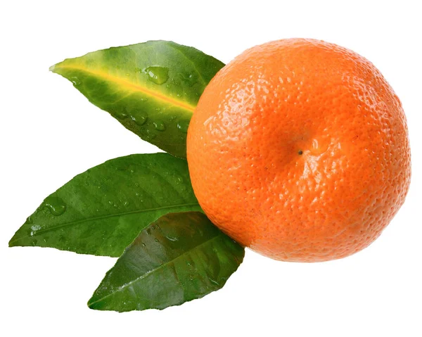 Tangerine Med Leaf Isolerad Vit Bakgrund — Stockfoto