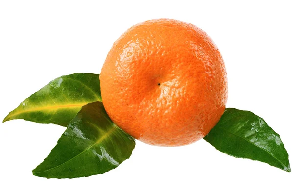 Mandarine Mit Blatt Isoliert Auf Weißem Hintergrund — Stockfoto