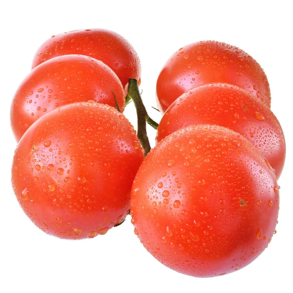 Våd Tomat Gren Isoleret Hvid Baggrund - Stock-foto