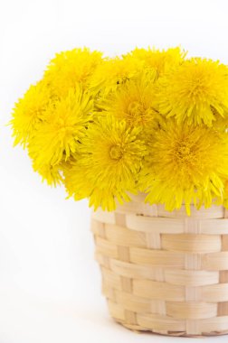 Dandelions sepet içinde 