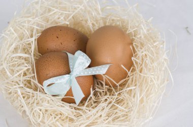 Yuvadaki paskalya yumurtaları 