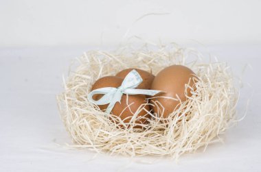 Yuvadaki paskalya yumurtaları 