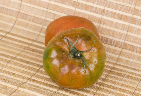 Cozinhar Tomates Buch Fatia Popa Crescer Erva Natureza — Fotografia de Stock