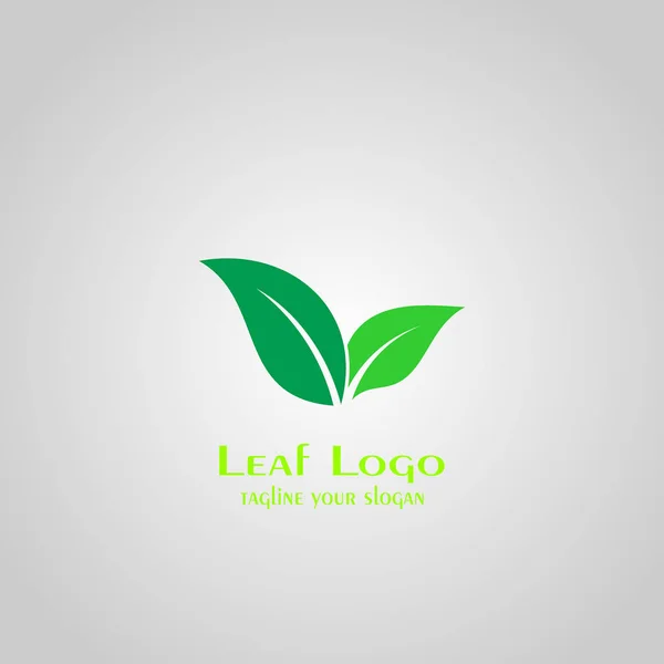 Liść Logo Projektowanie Logo Liści Wektorowe Ikony — Wektor stockowy