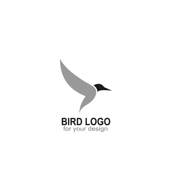 Logotipo Pássaro Ícone Pássaro Voador Design Logotipo Simples Ícones Vetoriais — Vetor de Stock