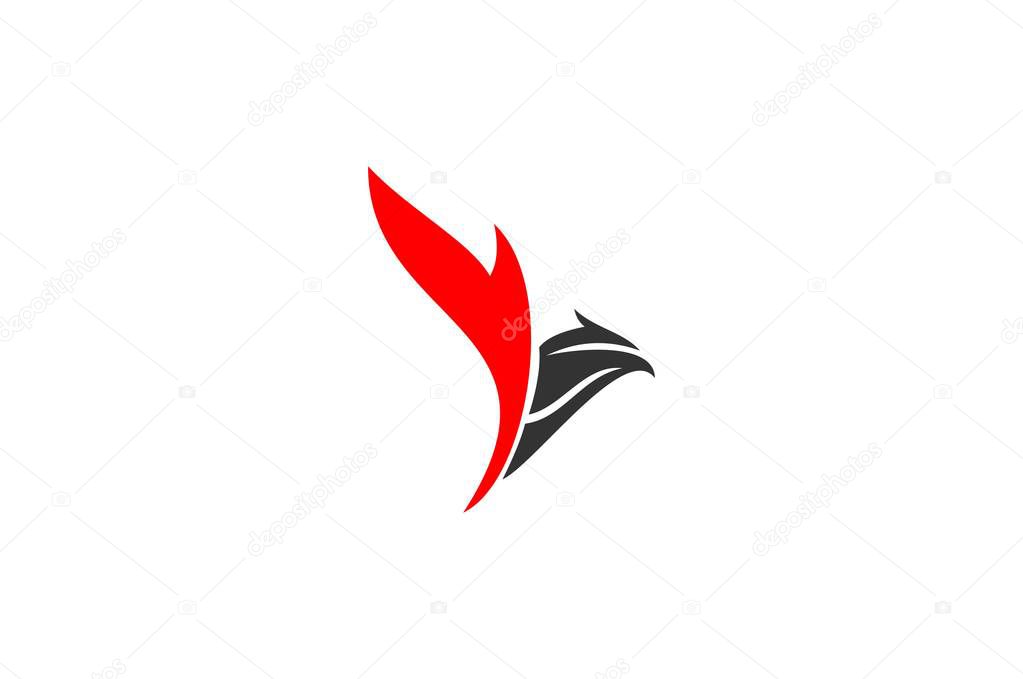 Bird and feather logo, eagle logo design, vector illustrations.
