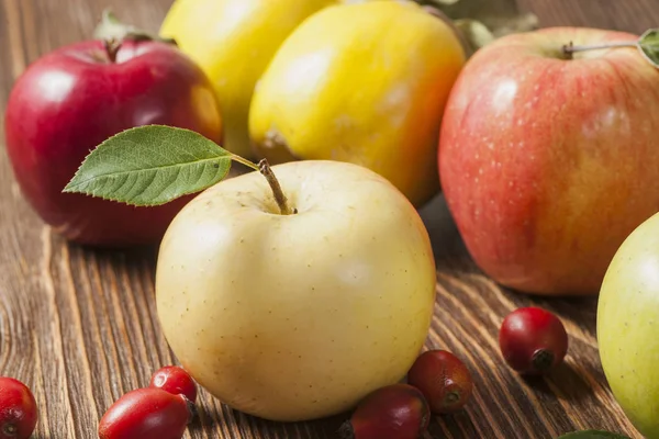 Apfel-Herbstfrüchte — Stockfoto