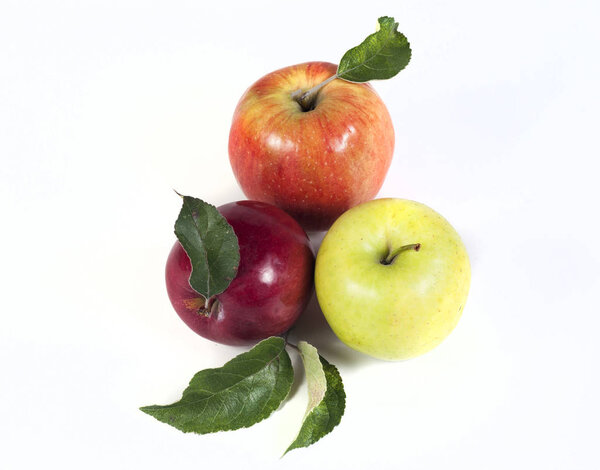 apple autumn fruits