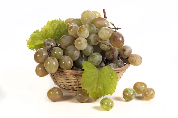 Виноград и фрукты на белом — стоковое фото