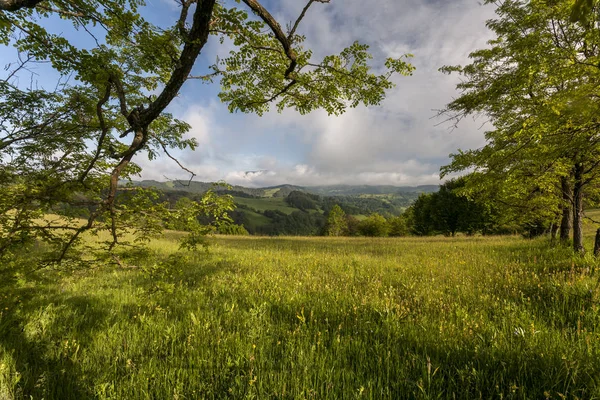 Karpaty góry w lato zębów — Zdjęcie stockowe