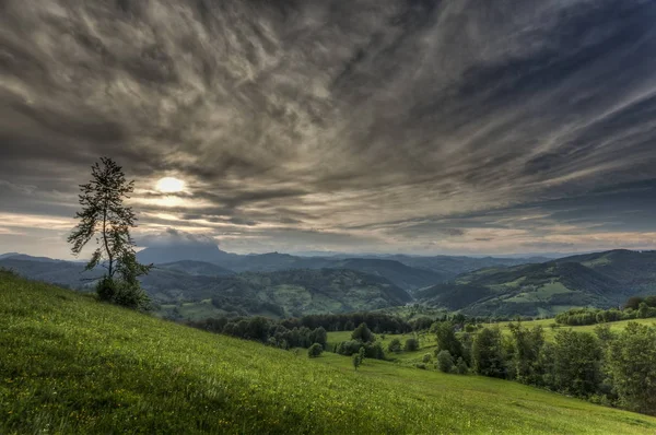 Carpatians berg i sommar tine — Stockfoto