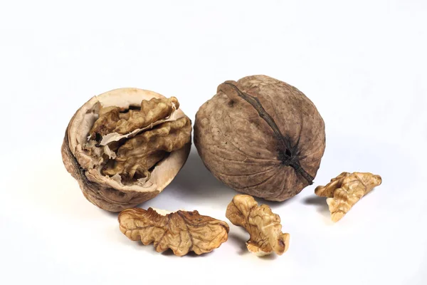 Walnuts isolated on white — Stock Photo, Image