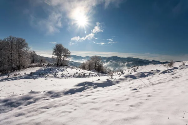 喀尔巴阡山脉的冬天 — 图库照片