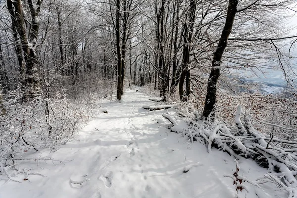Vinterlandskap i fjällen — Stockfoto