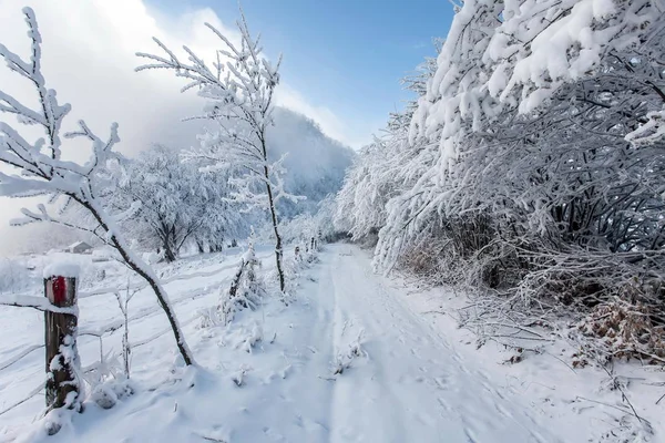 산악 지대의 겨울 풍경 — 스톡 사진