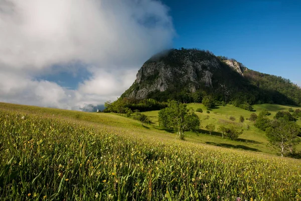 Carpatiens montagnes paysage — Photo