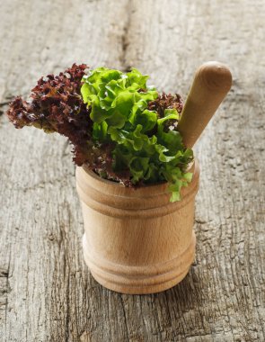 kabın içinde marul