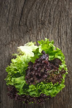 marul arka plan üzerinde