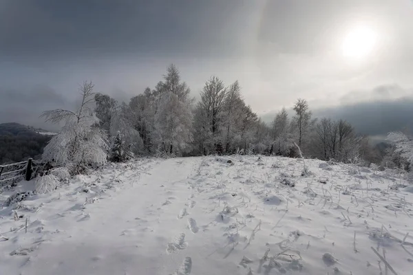 겨울 산에 — 스톡 사진