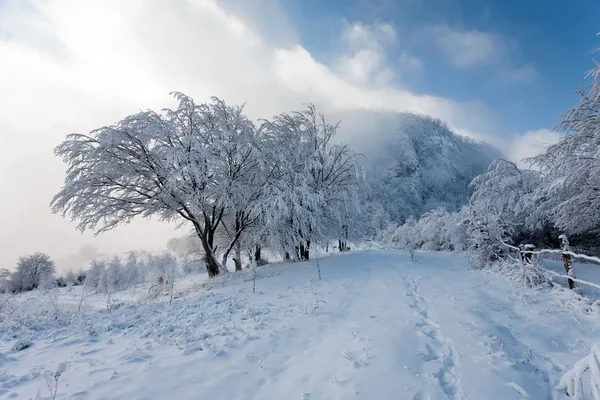 Inverno in montagna — Foto Stock