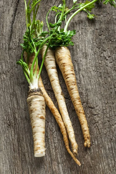 maydanoz kökü masada