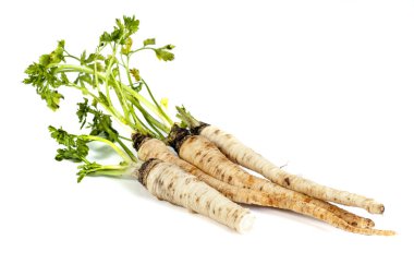 maydanoz kökü masada