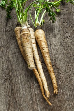 maydanoz kökü masada