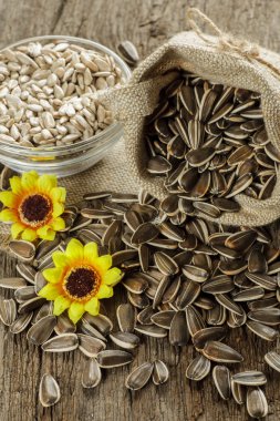 çiçek tohumları çanta içinde