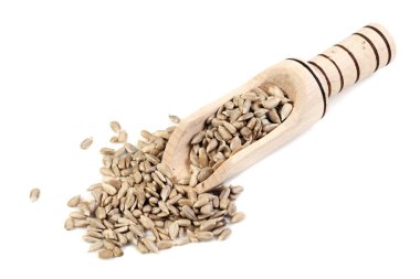 Ayçiçeği tohumu tedavi