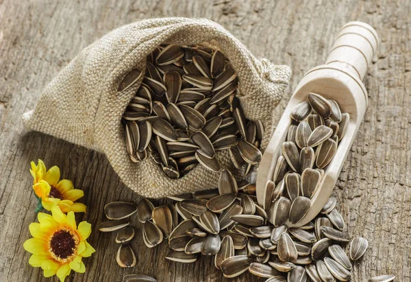 çiçek tohumları çanta içinde