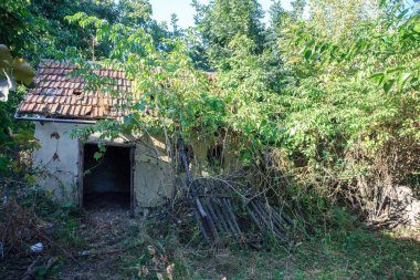 Terk edilmiş evler yıkıldı