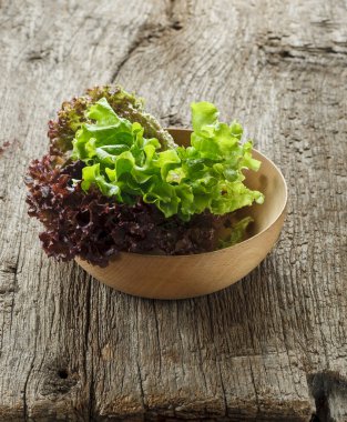 kabın içinde marul