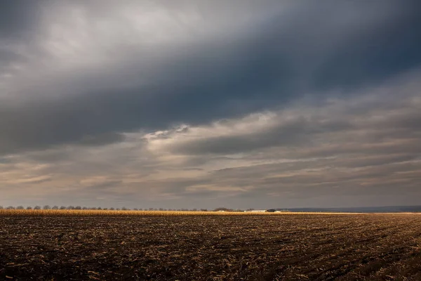 Sonbaharda ekilmiş tarla