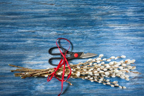 Willow buds bloom — Stock Photo, Image