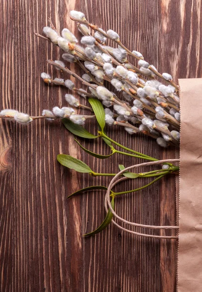 猫柳图库照片 免版税猫柳图片 Depositphotos 猫柳图库照片 免版税猫柳图片 Depositphotos