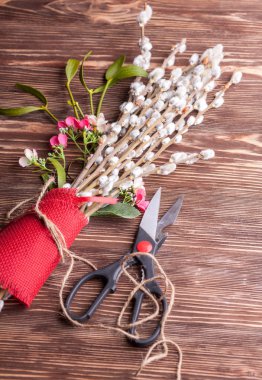 Willow tomurcukları bloom