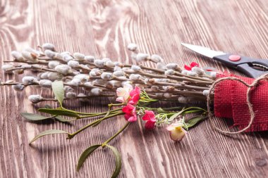 Willow tomurcukları bloom