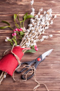 Willow tomurcukları bloom