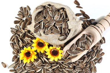 beyaz çiçek tohumları