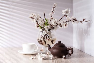 Natürmort kayısı çiçeği ile